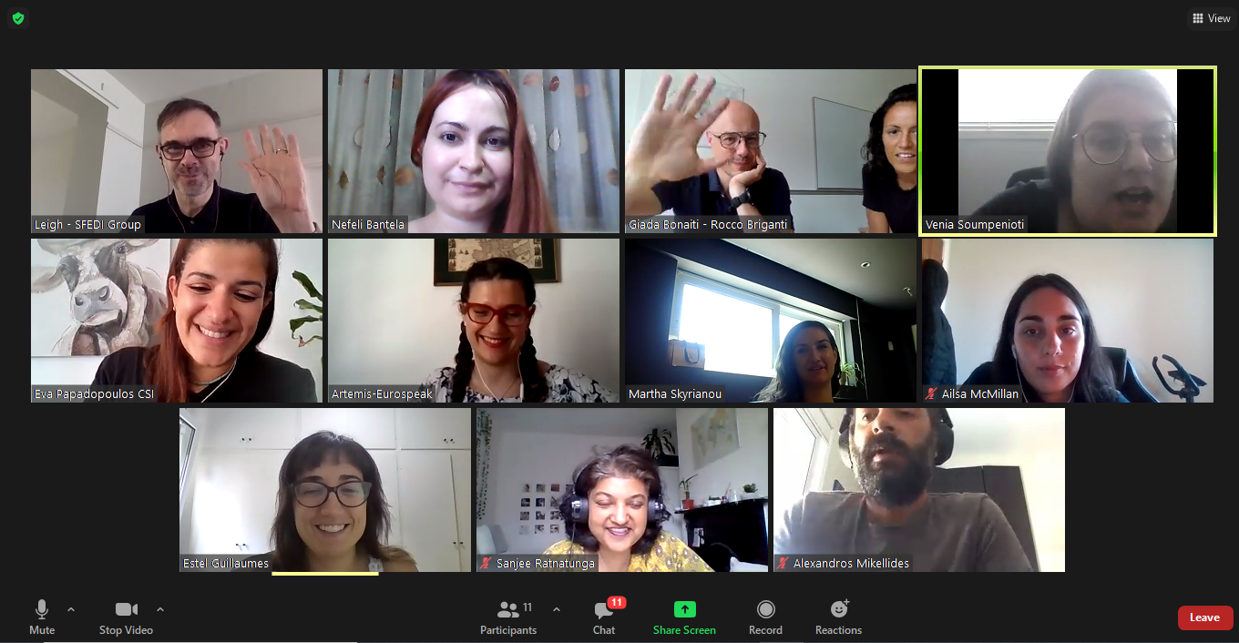 Online Summer Meeting for the SENSES project!